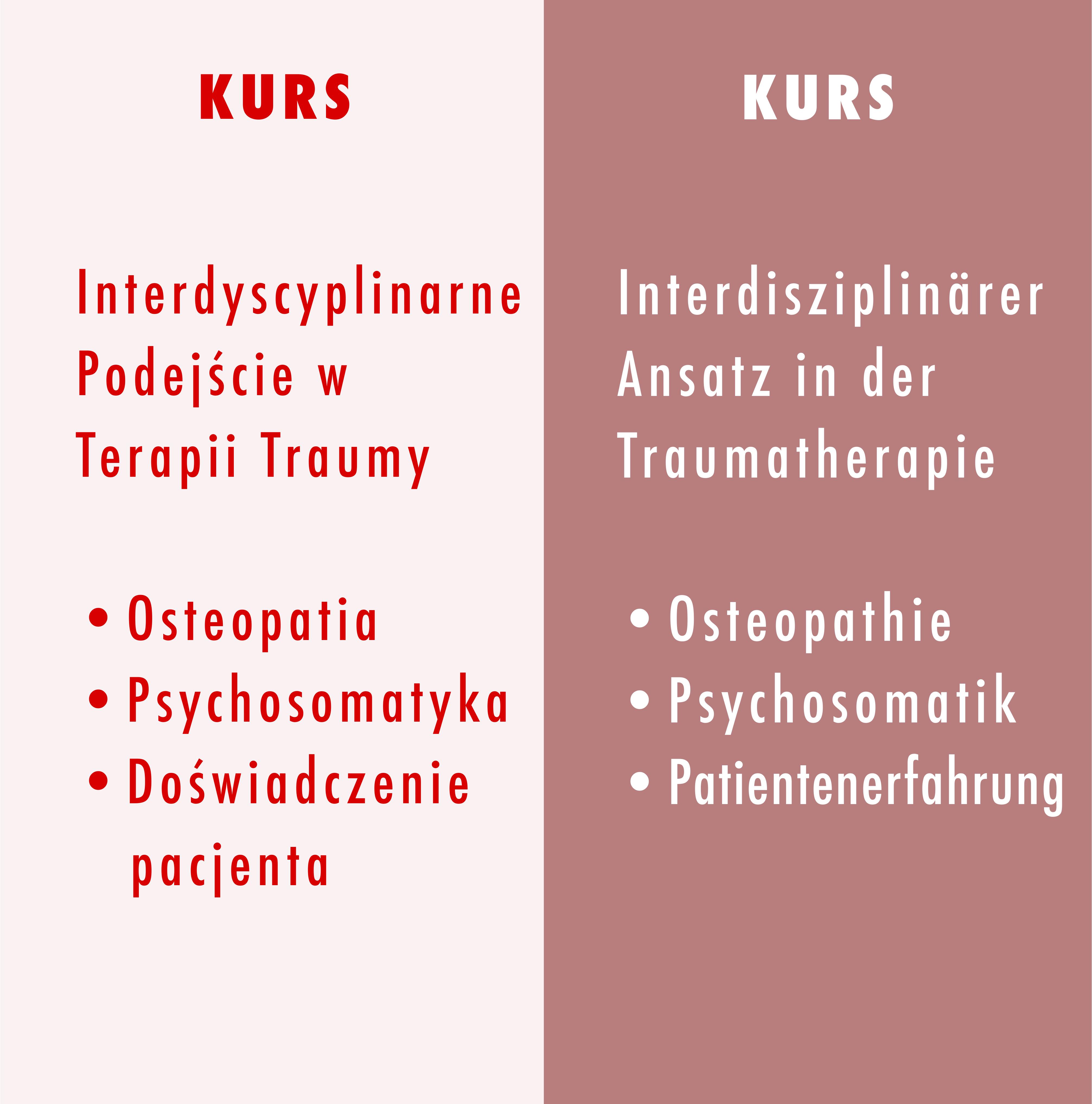 KURS: Interdyscyplinarne Podejście w Terapii Traumy - Angelika van de Kraats, Agata Norek i Ulrich Wergin